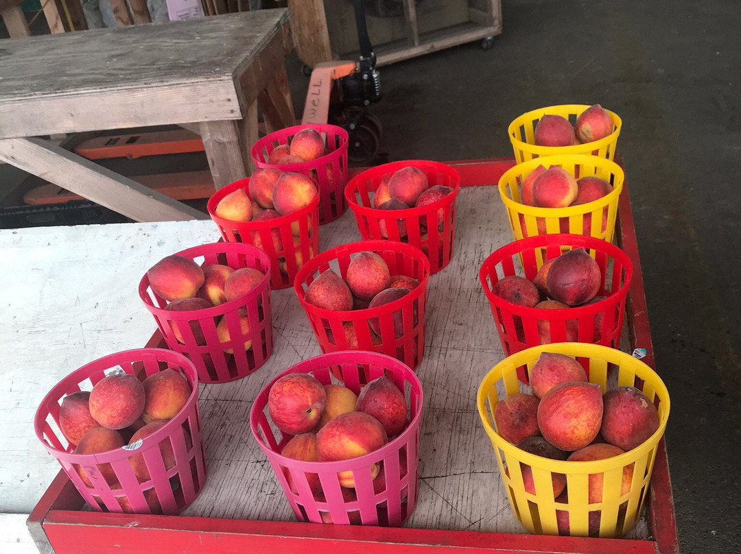 Cordele State Farmers Market景点图片