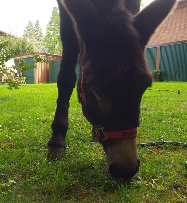 Sonja Scholling-Oldendorf必去景点