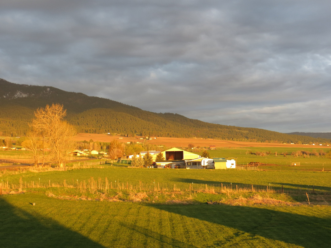 Barking Mad Farm B & B主图