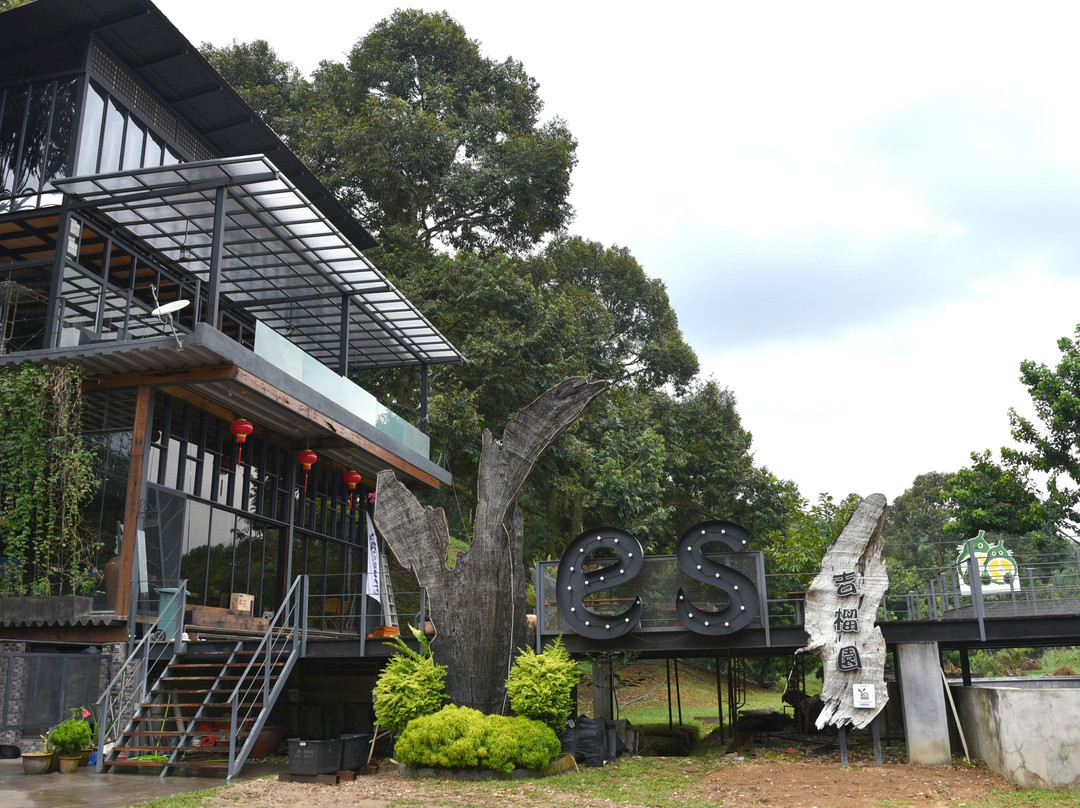 YES Durian Orchard-Raub必去景点