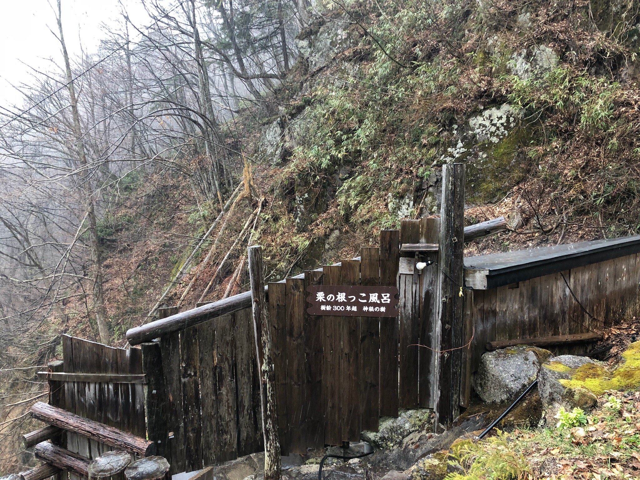 Azumaya Ryokan-官方