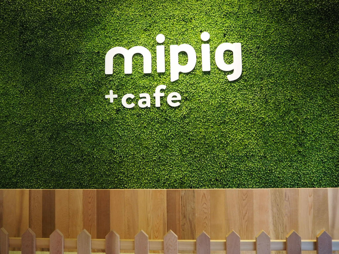 mipig cafe景点图片