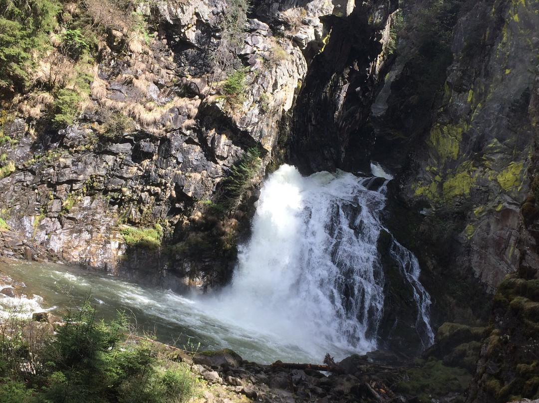 Hotel Muehlenerhof主图