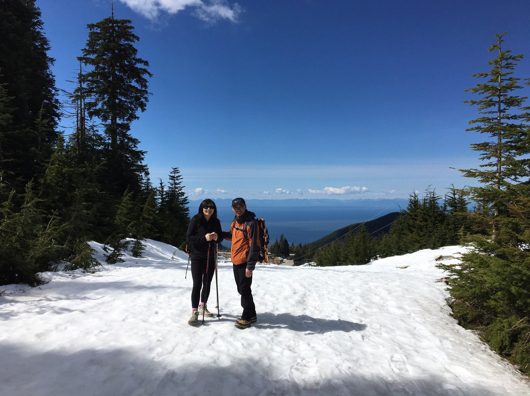 Hollyburn Mountain景点图片