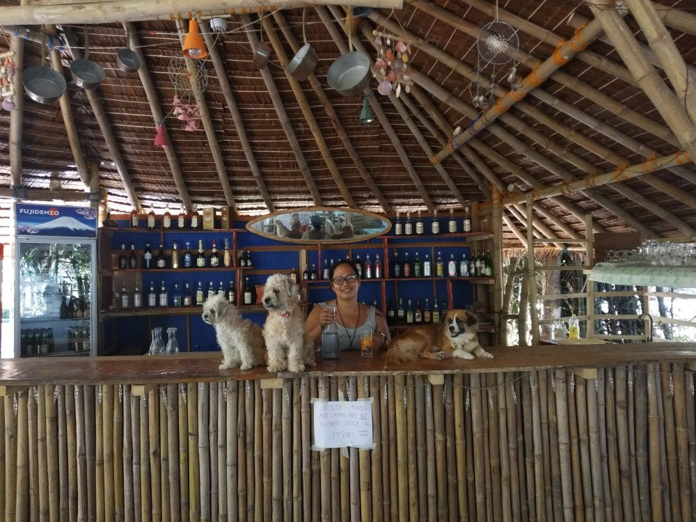 布科海滩度假旅馆主图