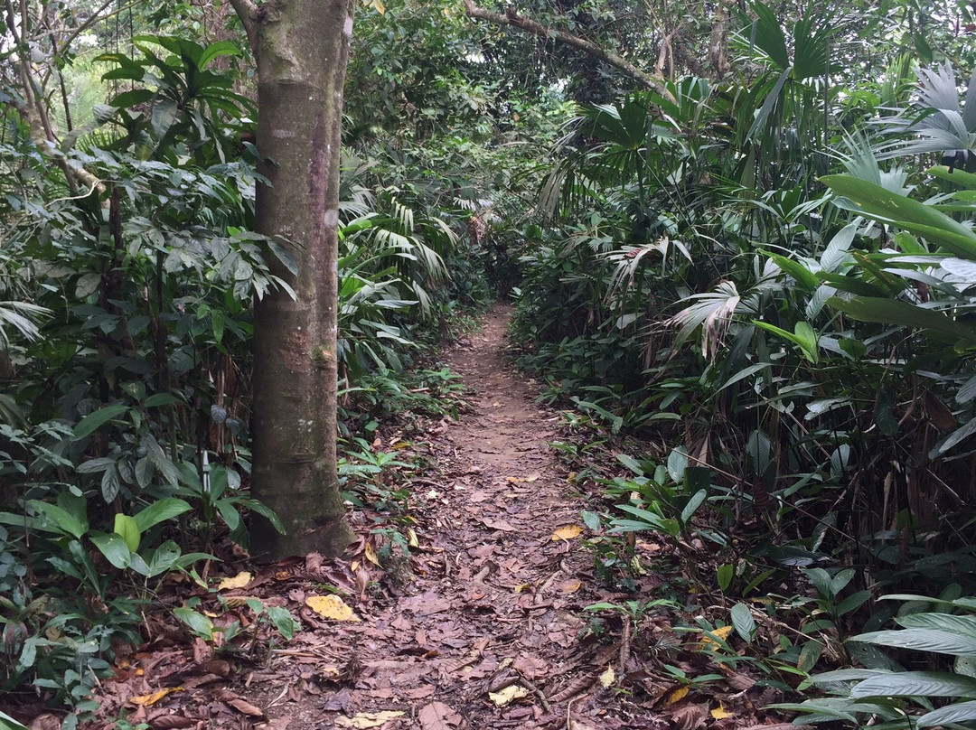 Sendero Ecoturistico Capurgana - Sapzurro景点图片