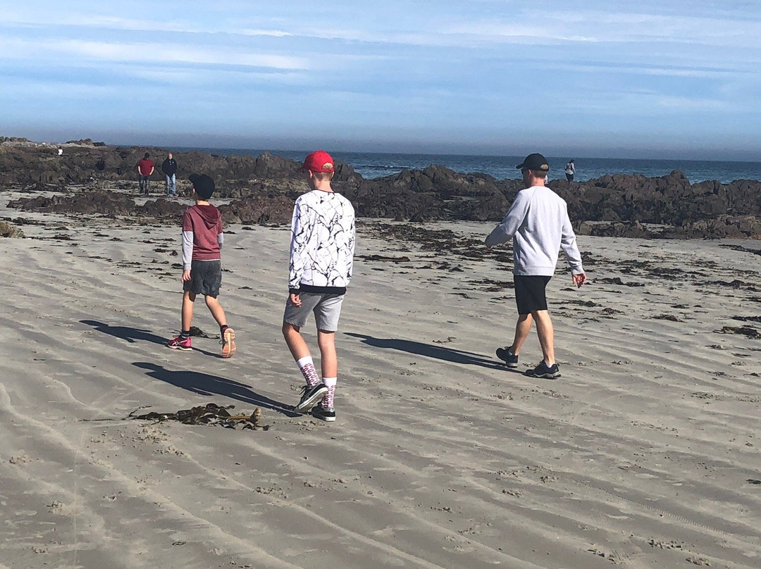 Blaauw Village Guest House主图