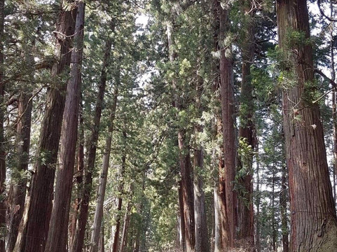 Nikko Base-日光市必去景点