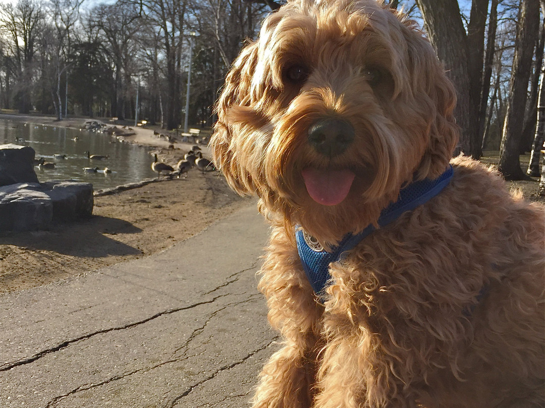 St Vital Park-温尼伯必去景点