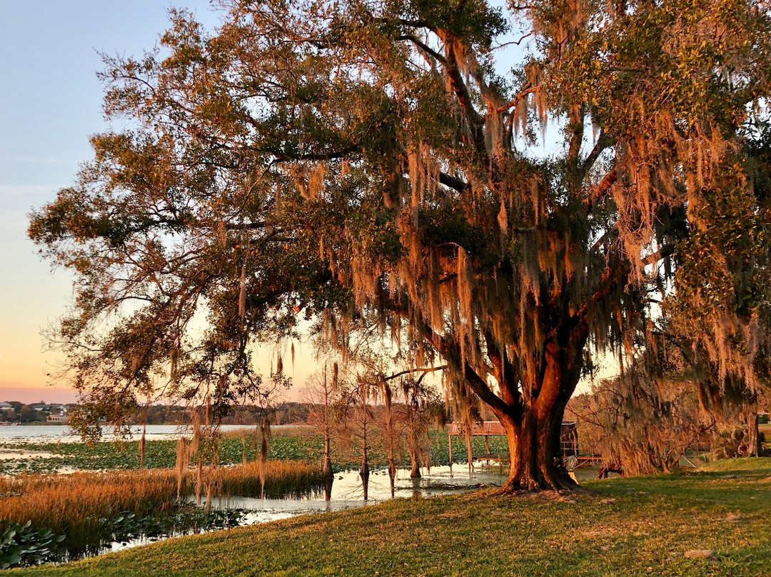 Lake Hollingsworth-莱克兰必去景点