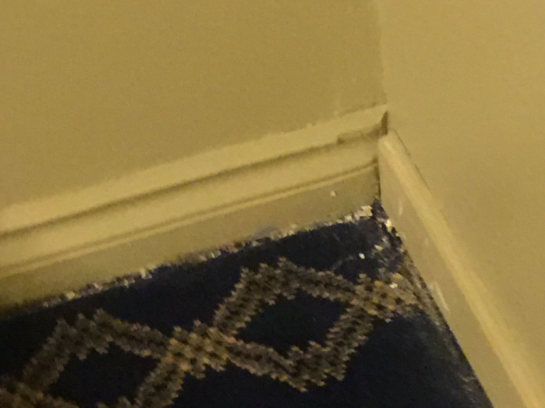 Fidalgo Country Inn主图