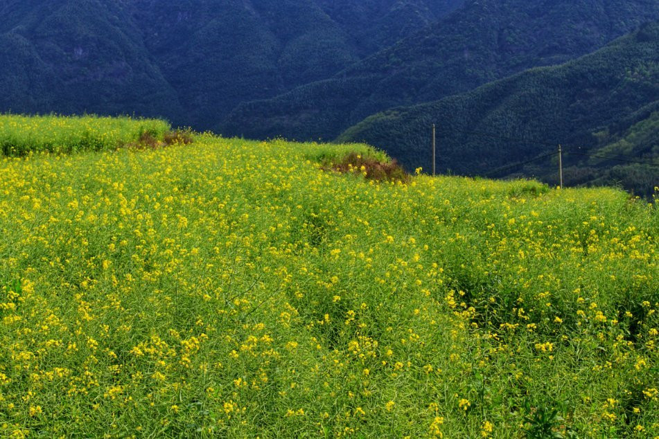 念山梯田-政和县必去景点