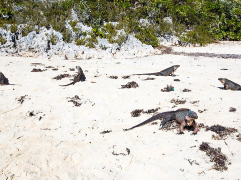 Live Good Adventures-George Town必去景点