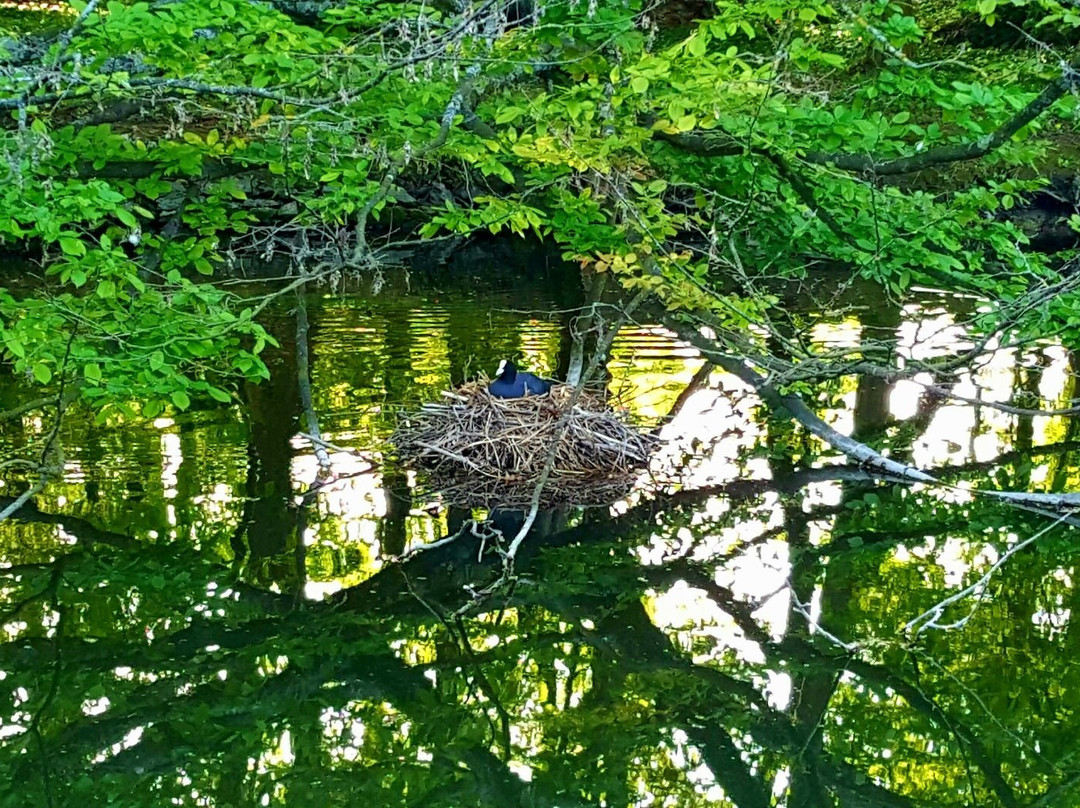 Parc de Lormoy-Longpont-sur-Orge必去景点
