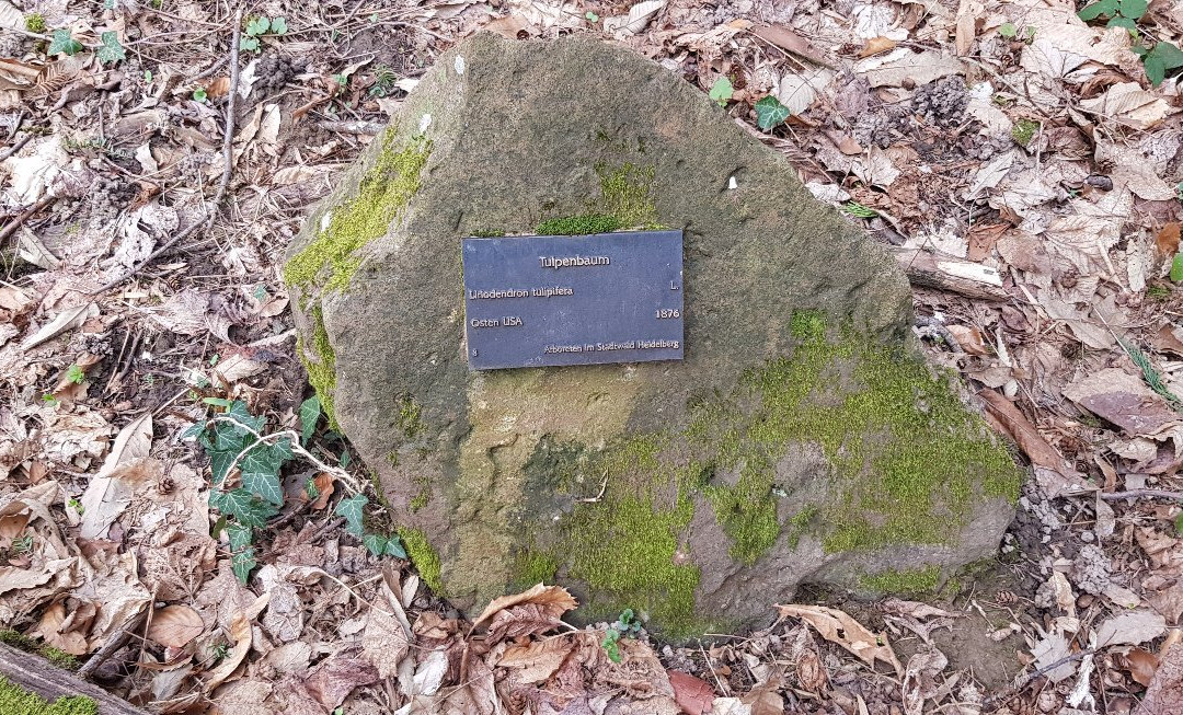 Sprunghohe-海德尔堡必去景点