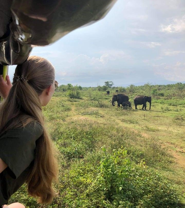 Wild Vibes Safari Tours Udawalawe-乌达瓦拉瓦必去景点