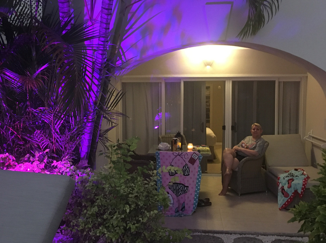 Bougainvillea Barbados主图