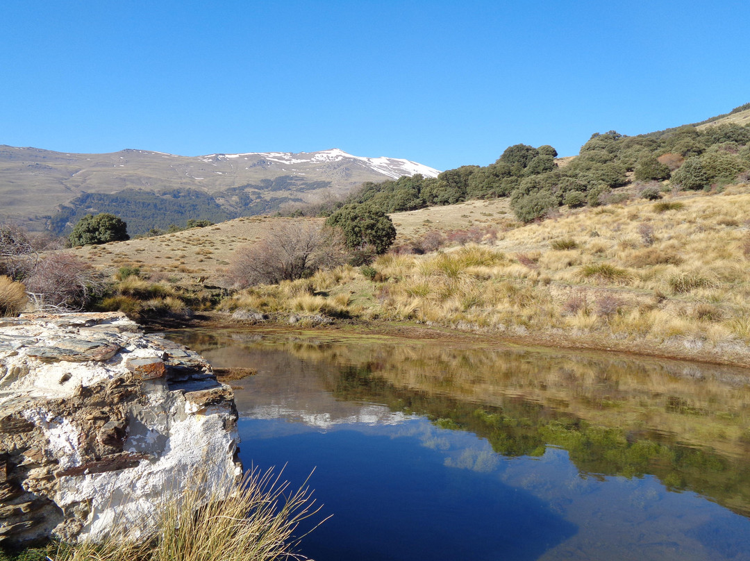 4x4 Tours Sierra Nevada景点图片