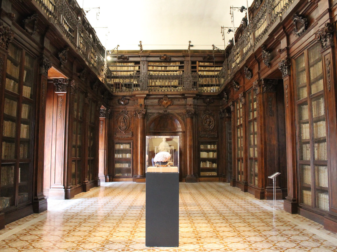 Biblioteca Lucchesiana景点图片