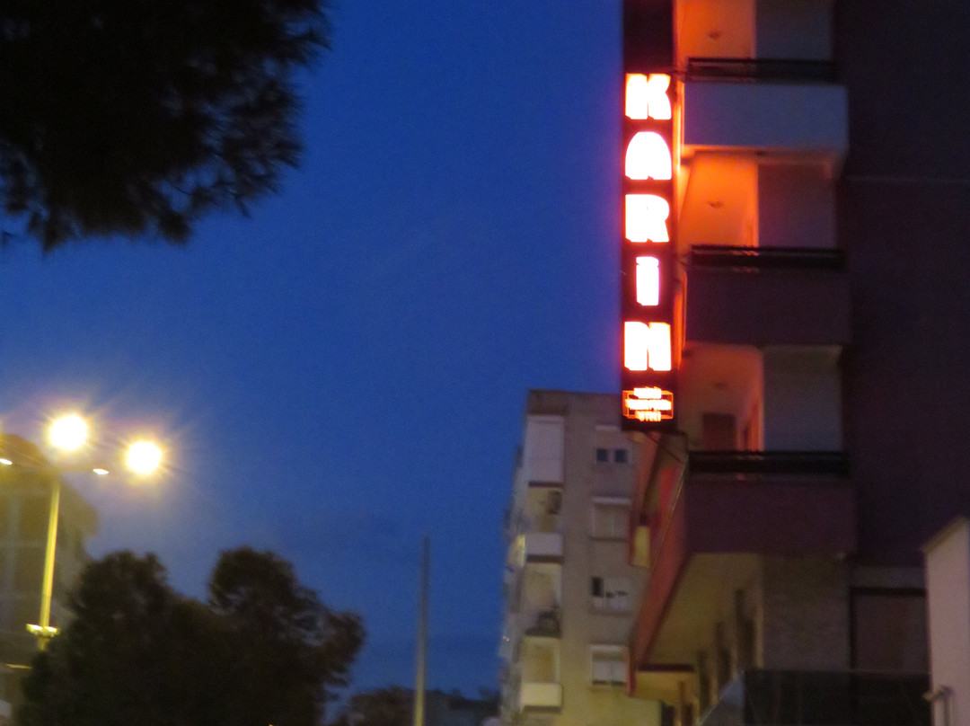 Karin Otel