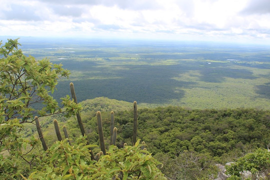 Reserva Natural Serra das Almas-Crateus必去景点