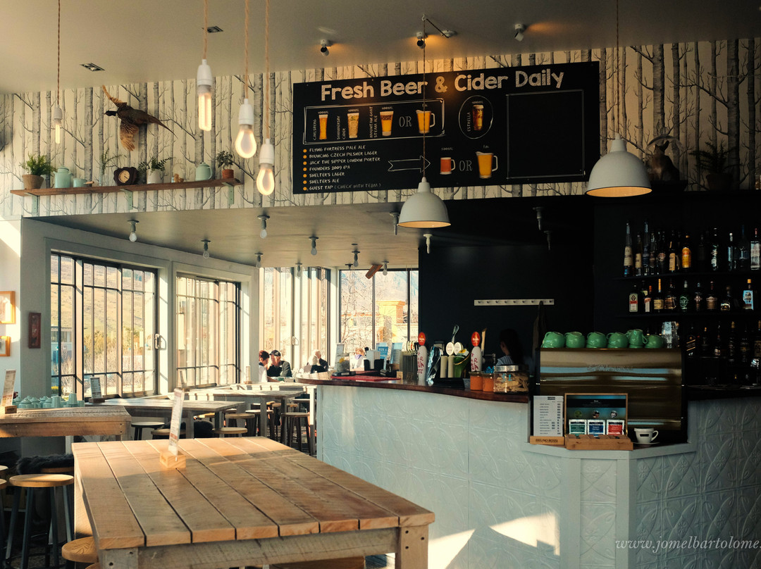Shelter Bar & Kitchen