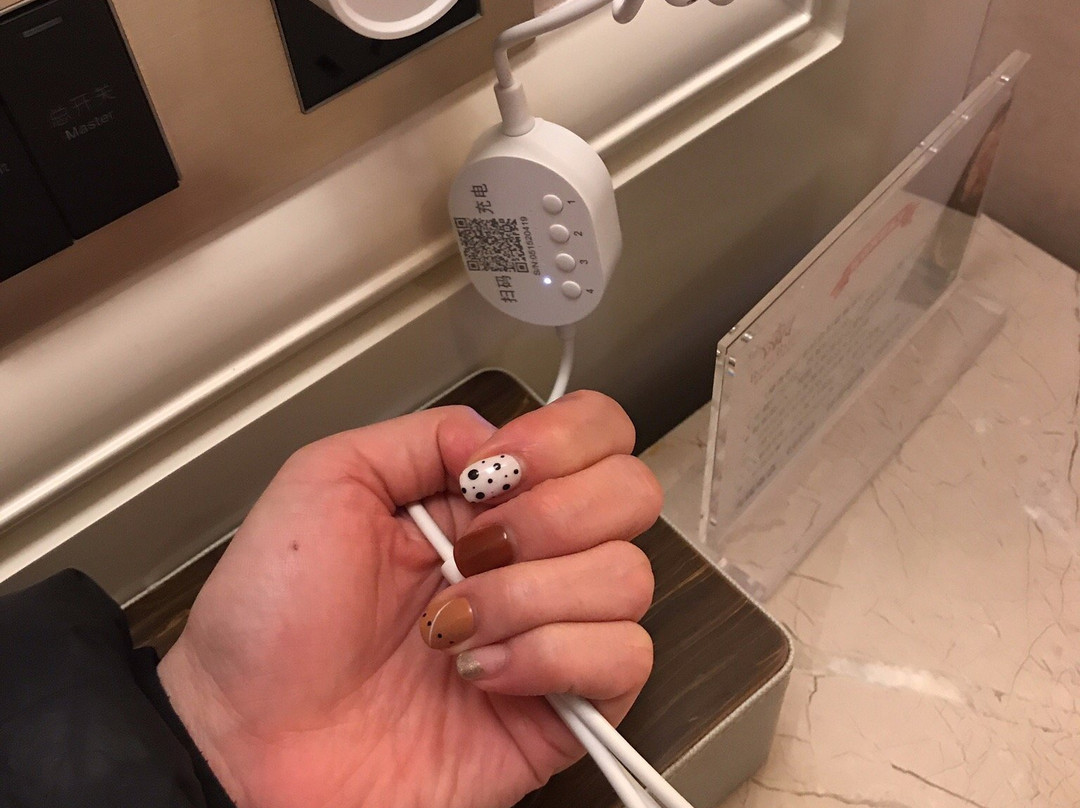 顺辉铂晶巴登酒店主图