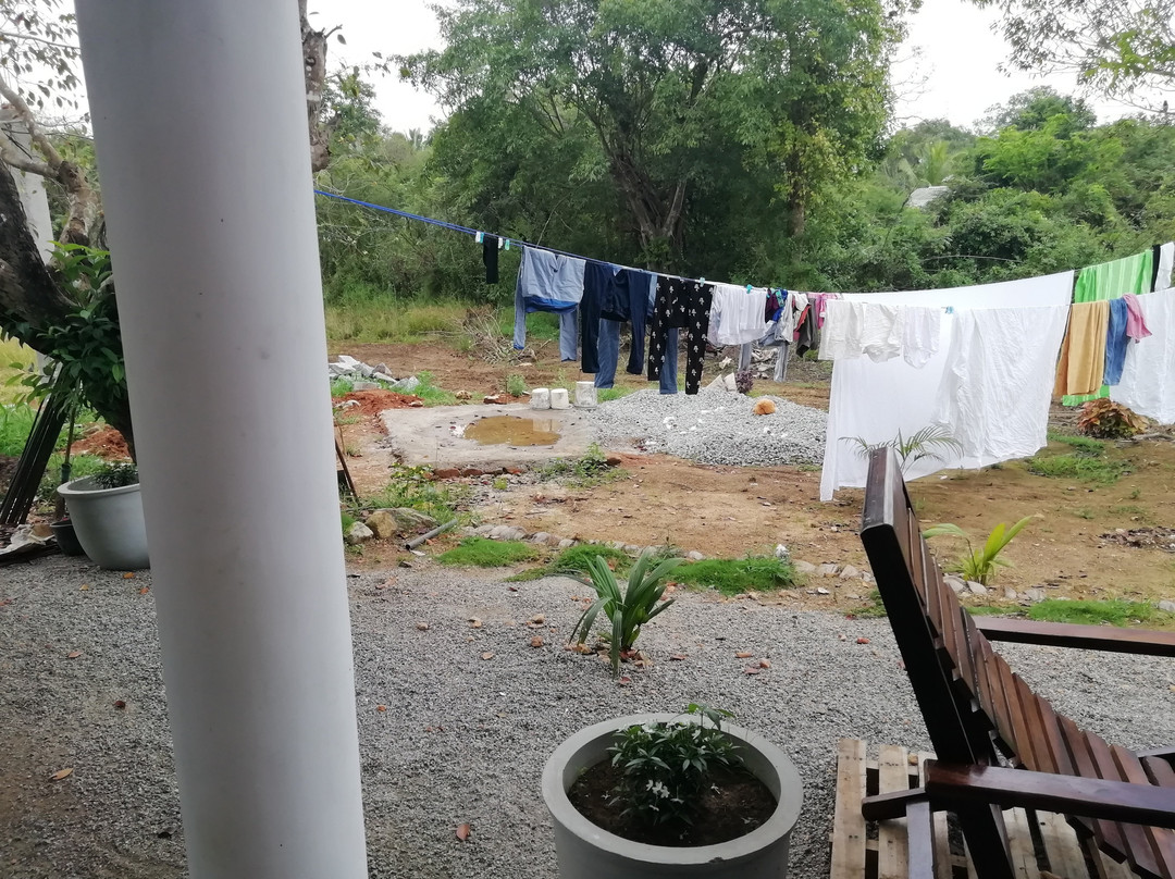 THE GREEN GARDEN主图