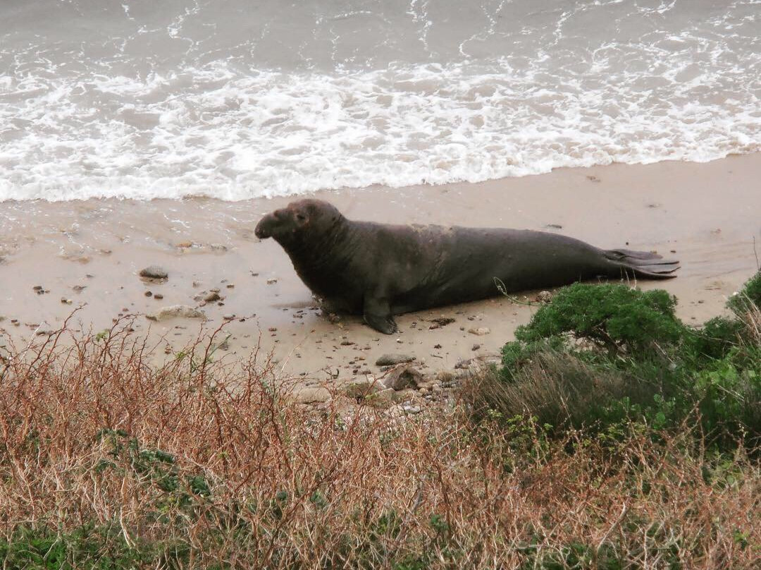 Chimney Rock Trail-红杉&国王峡谷国家公园必去景点