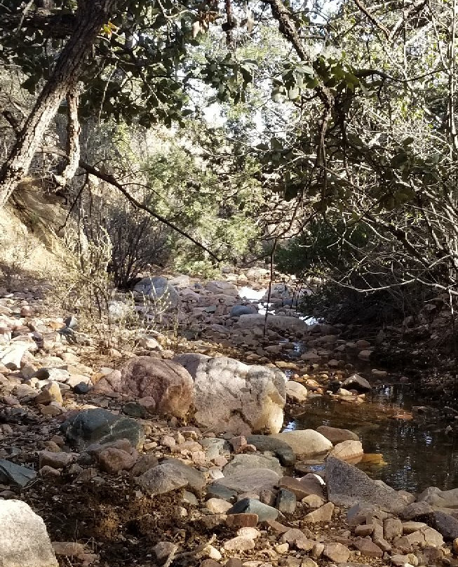 Salida Gulch Trail景点图片