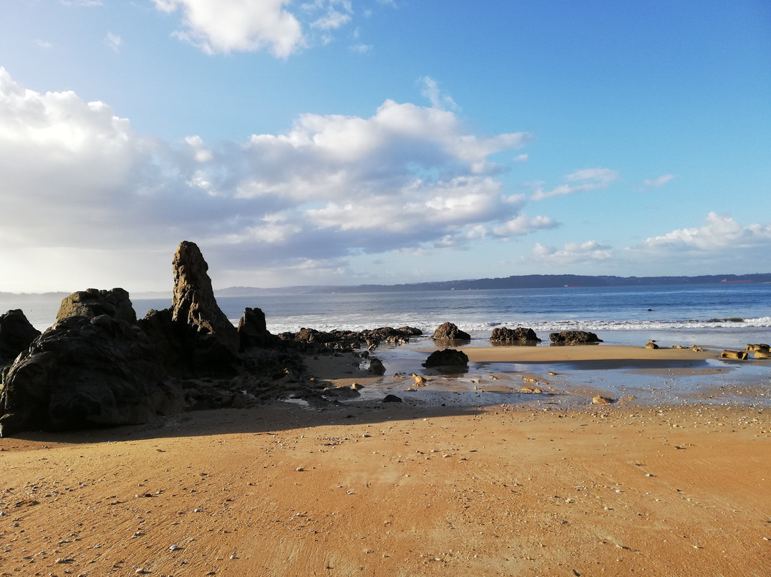 Playa de Seselle景点图片