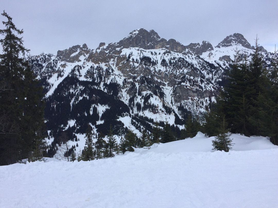 Rodelbahn Krinnenalpe景点图片