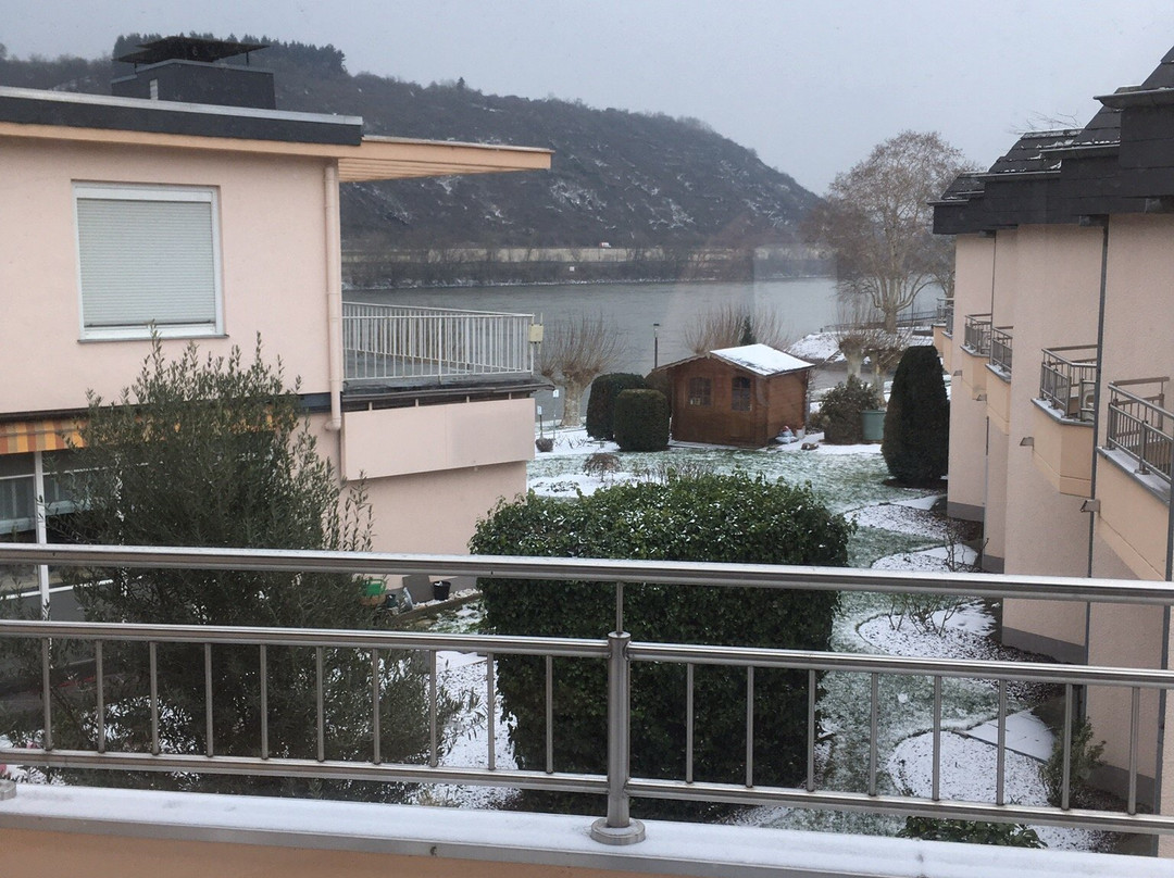 Hotel Villa am Rhein主图