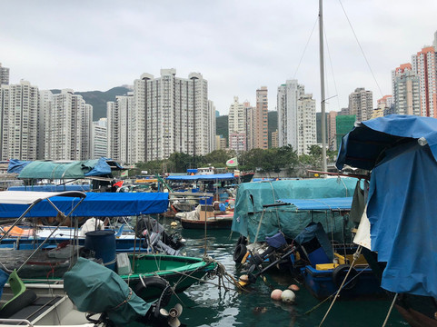 Splendid Tours & Travel-香港必去景点