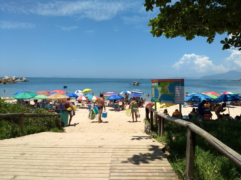 Praia da Tainha景点图片