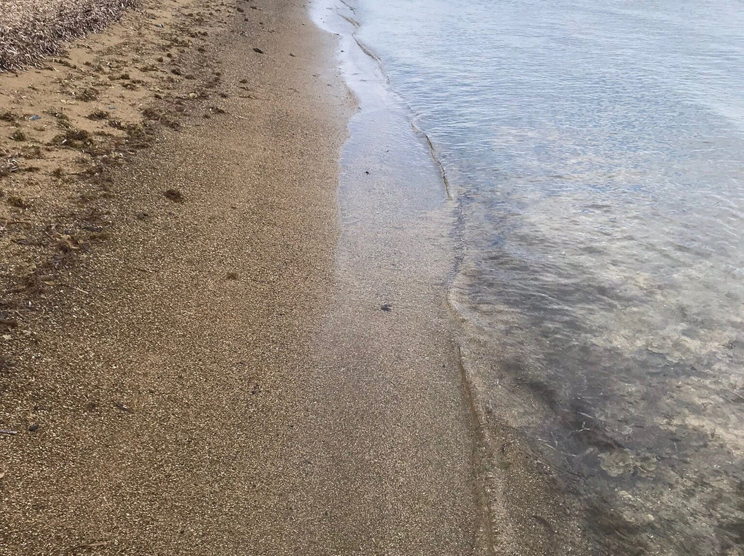 Jobos Beach景点图片