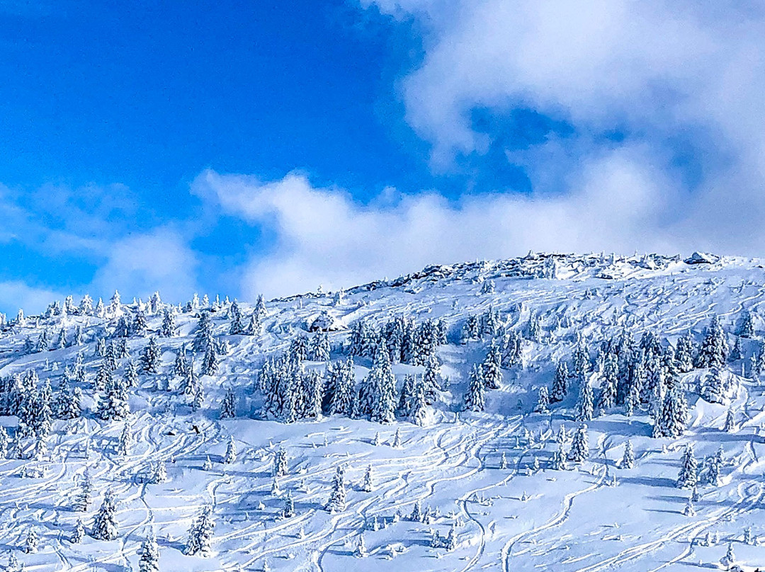 Glungezerbahn-图费斯必去景点