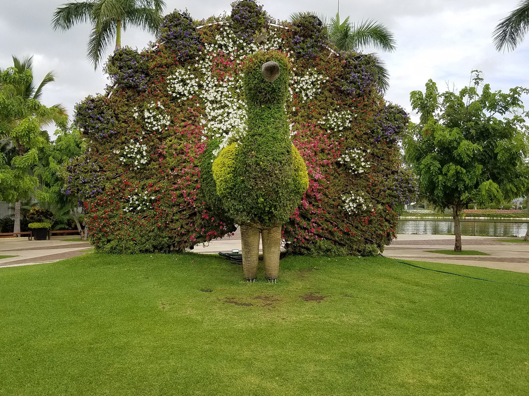 Jardines de México景点图片
