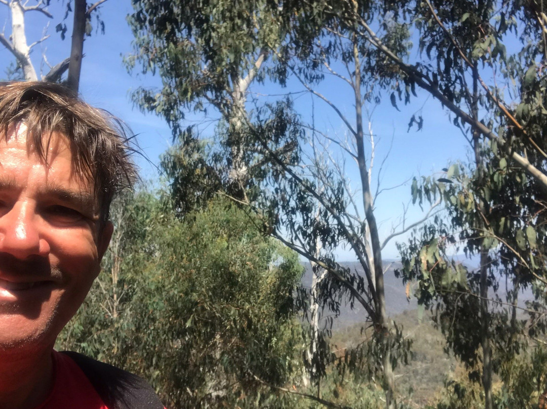 Corin Forest-Paddys River必去景点