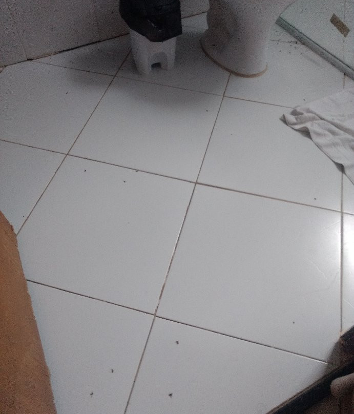 Delta Park Hotel主图