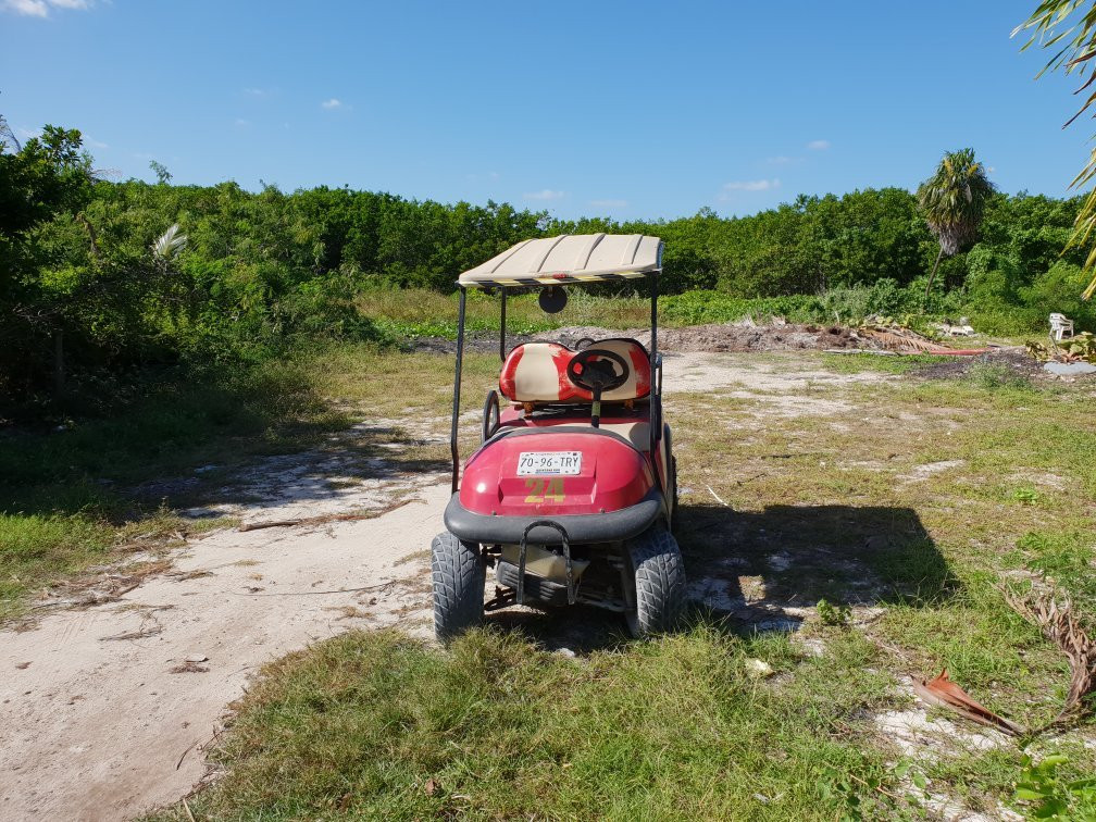 Mayahual Red Shirts Golf Carts景点图片