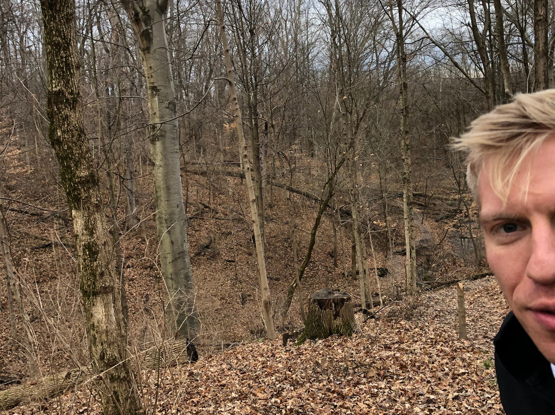 Buttercup Valley Preserve-辛辛那提必去景点