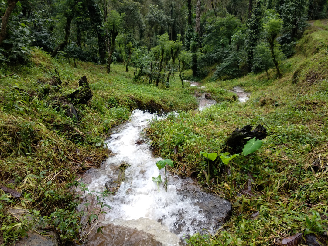 Linger at Balur Estate主图