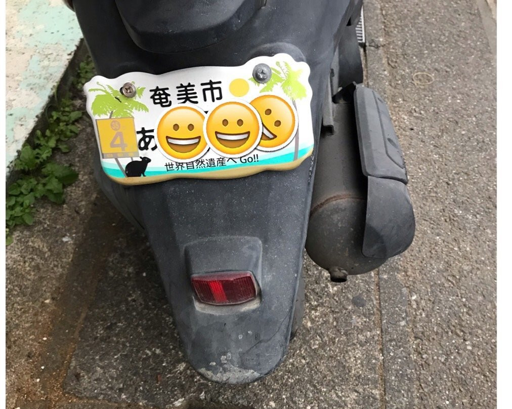 Guesthouse Ryoufuu主图