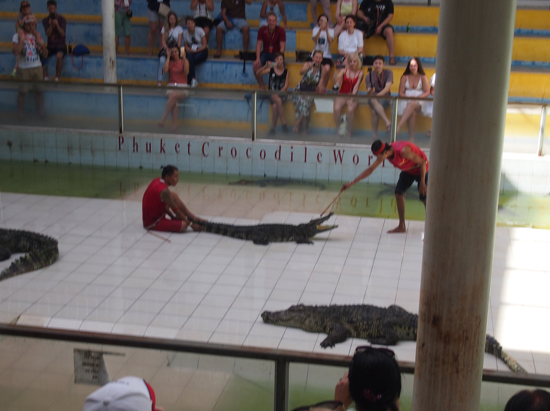 Phuket Crocodile World景点图片