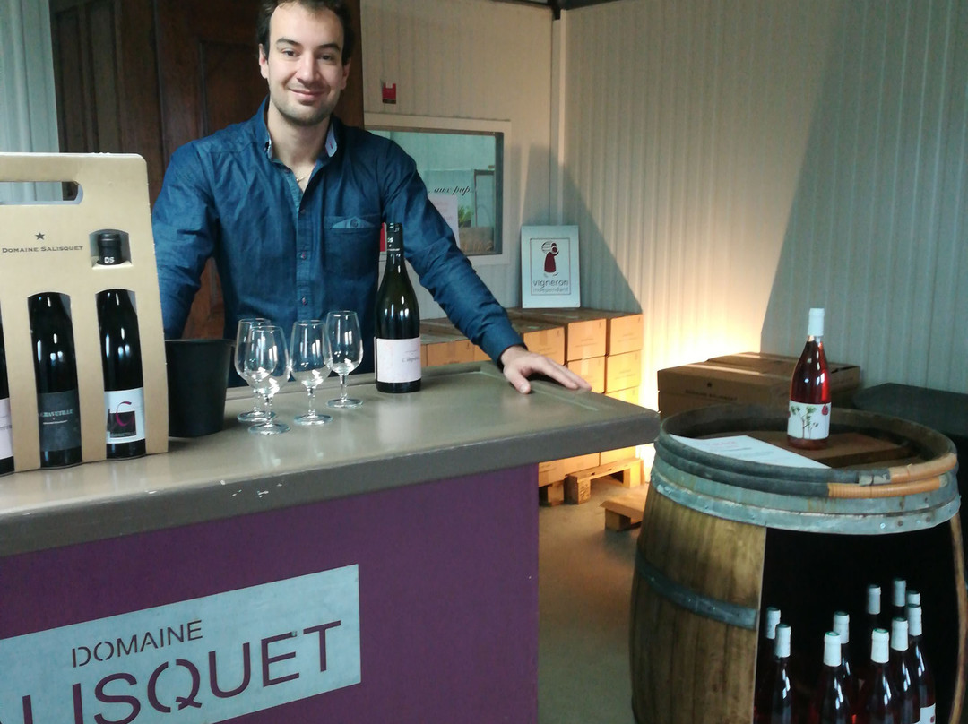 Domaine Salisquet景点图片