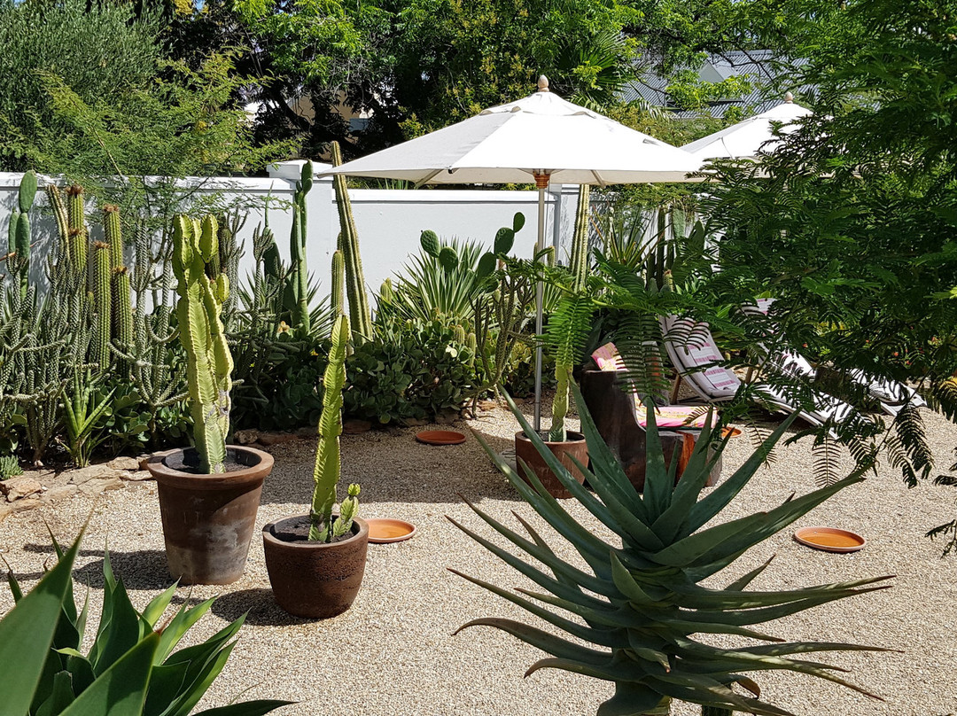 The Robertson Small Hotel主图