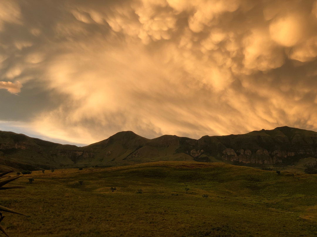 阿尔拜因希斯度假村主图