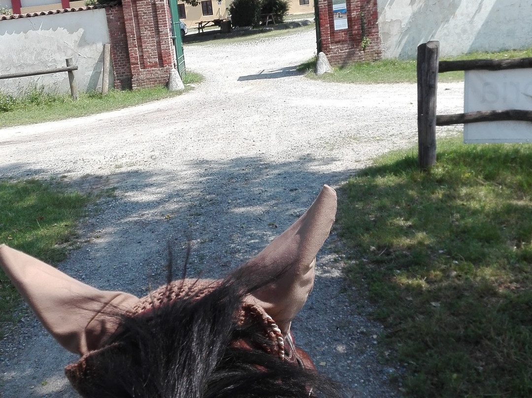 Cascina la Vittoria景点图片