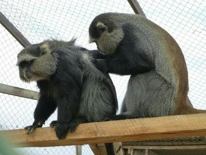 Ifisi Community Centre主图